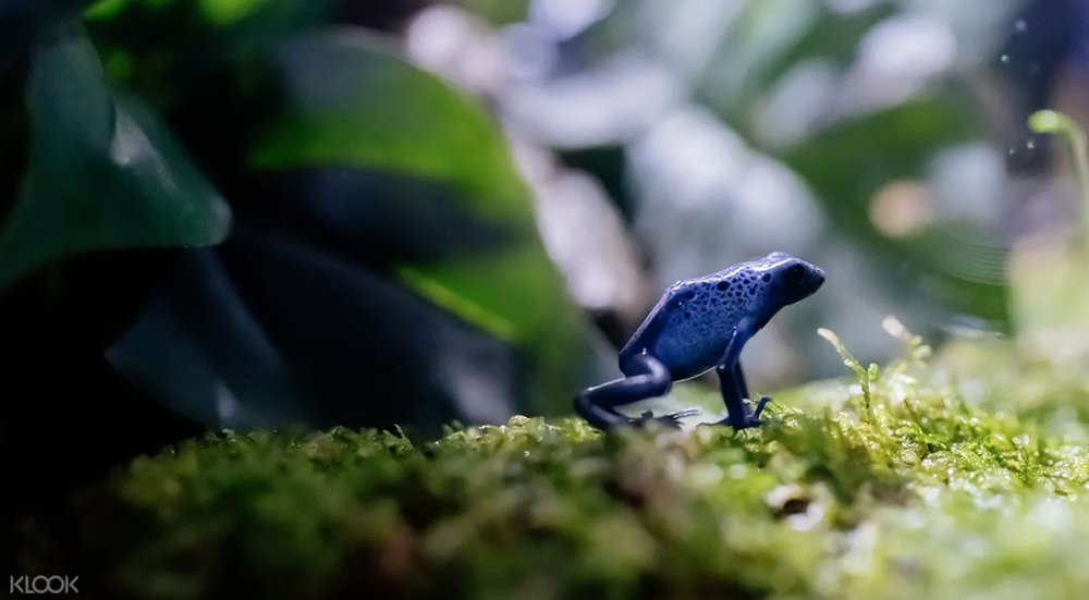 โซนภายใน Sea Life Bangkok