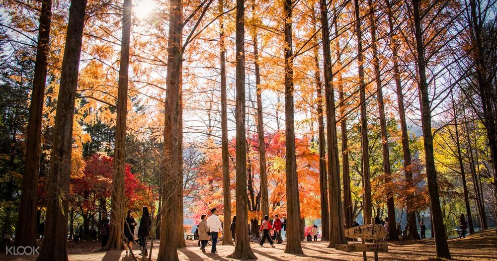 nami island