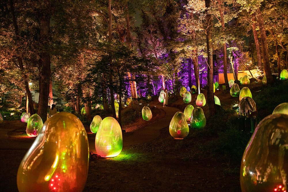 チームラボが埼玉・東所沢に！どんぐりの森の呼応する生命｜2021最新レポ