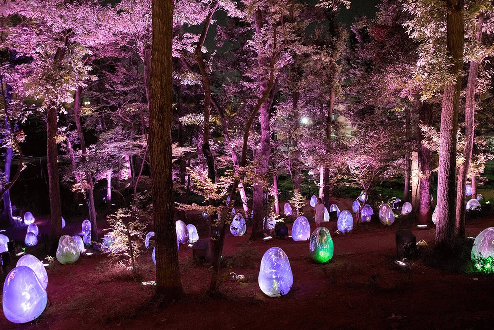 雑木林のでこぼこ斜面に、不思議な形のオブジェが無数に立ち並ぶ、幻想的なこの光景