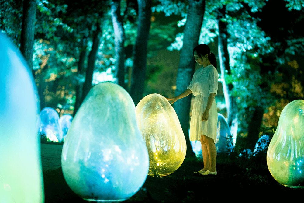 「チームラボ どんぐりの森の呼応する生命」の見どころ