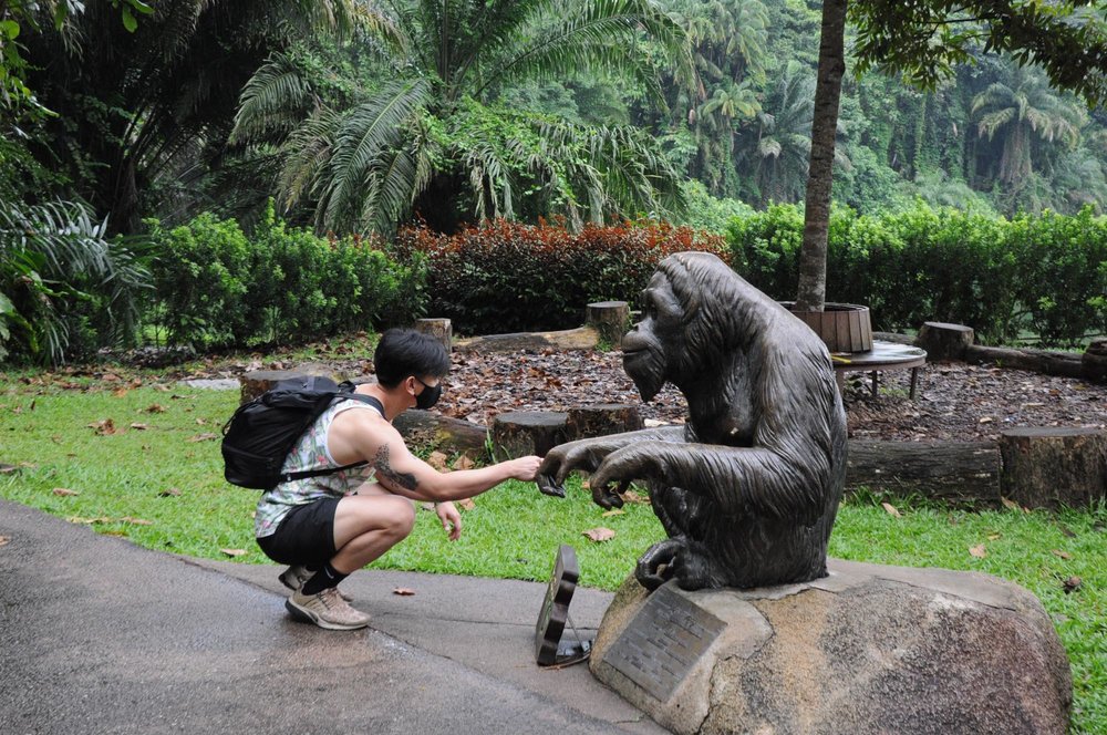 singapore zoo opening hour
