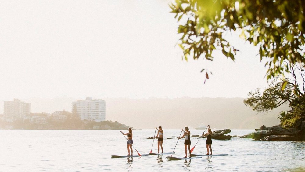 dine and discover - manly stand up paddle