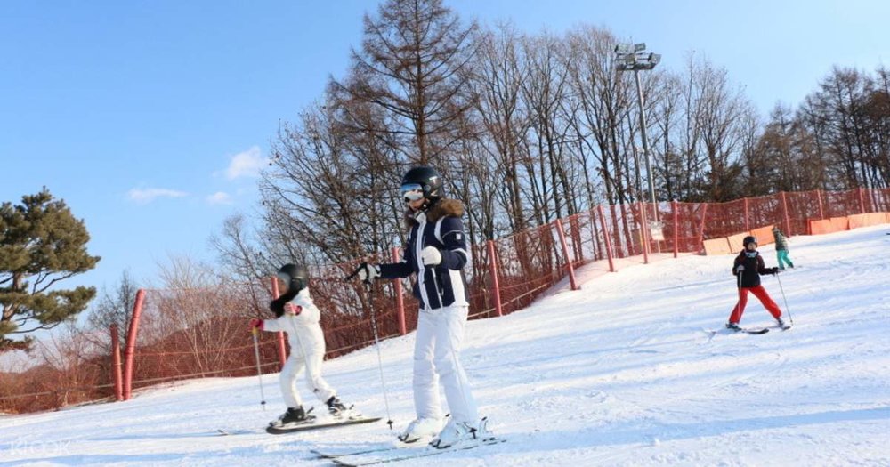 มือใหม่เล่นสกี