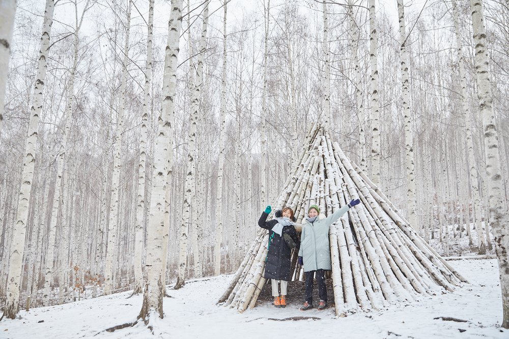 เที่ยวสวนป่าต้นเบิร์ช วอนแดรี