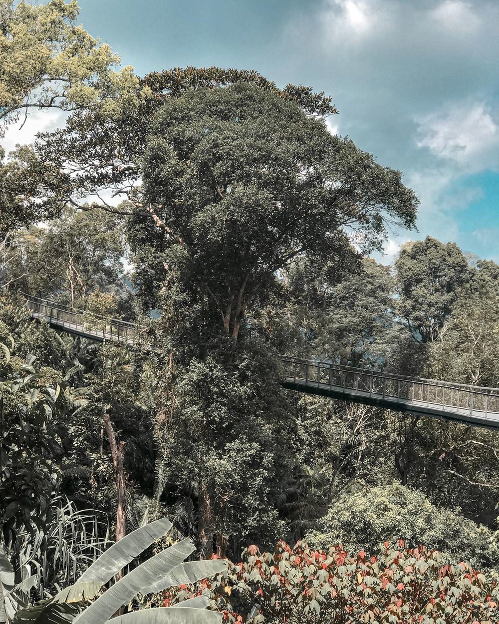 The Habitat Penang Hill nature walk hike trail