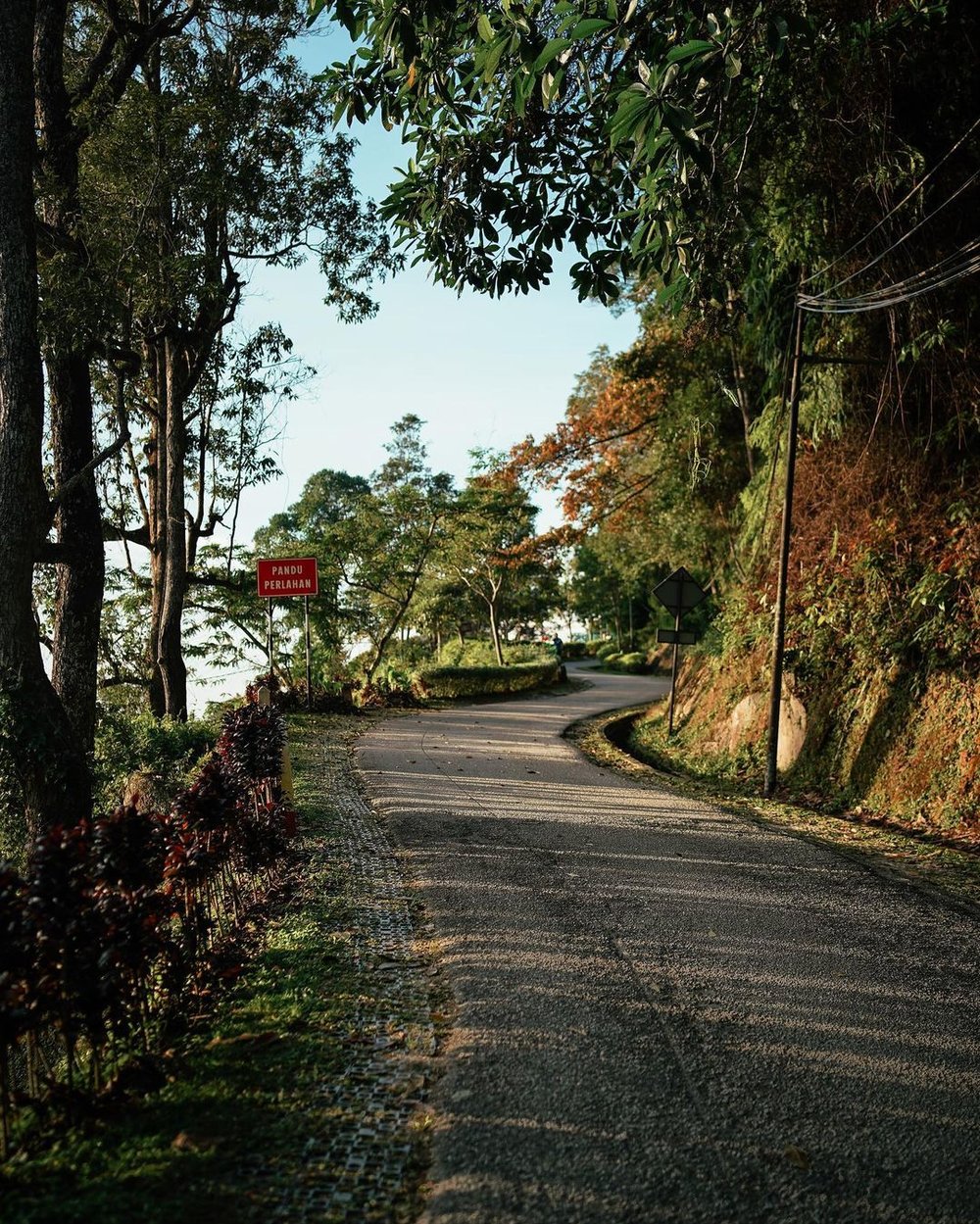 Jeep Track Botanic Garden Penang Hill hiking trail