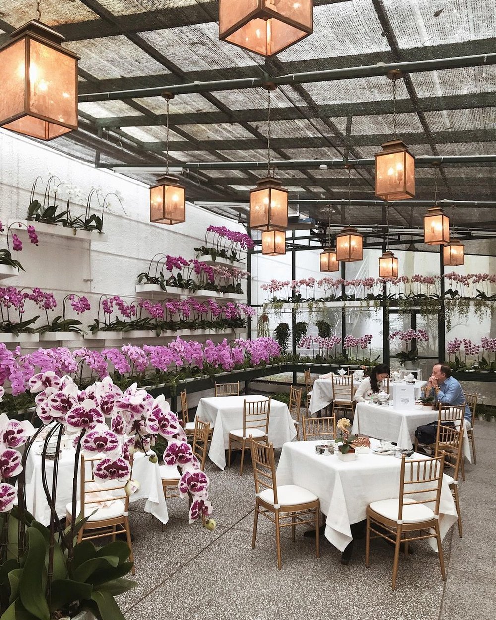 The Orchid Conservatory The Majestic Hotel KL Floral Afternoon Hi Tea