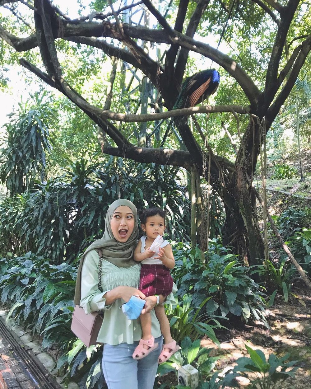 kl bird park taman tema kl