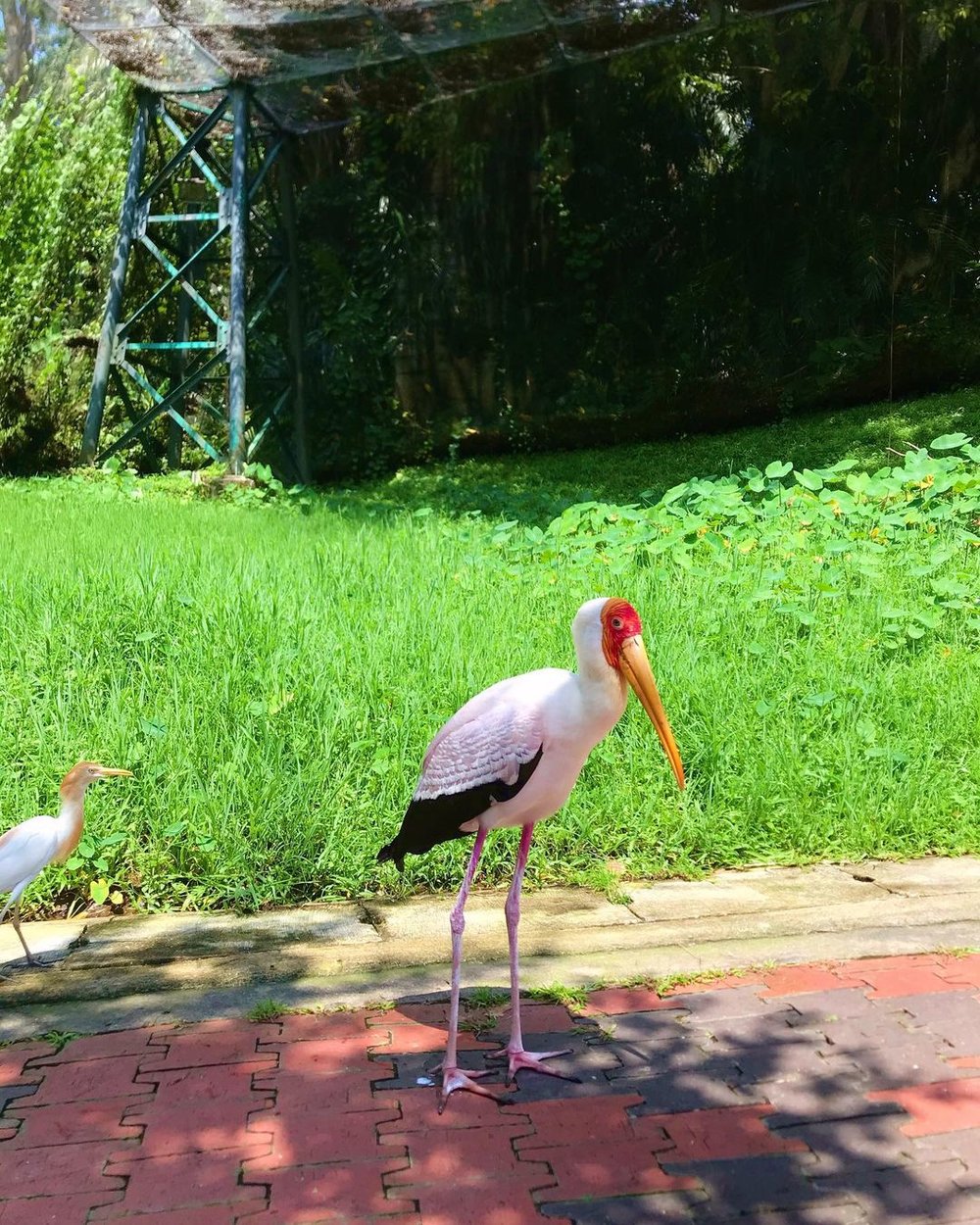 MY BM taman burung kl tarikan tersembunyi malaysia