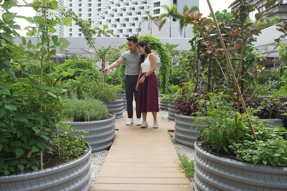 PARKROYAL COLLECTION Marina Bay farm