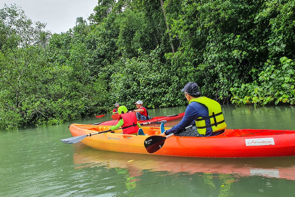 SG Ubin Nature Kayaking