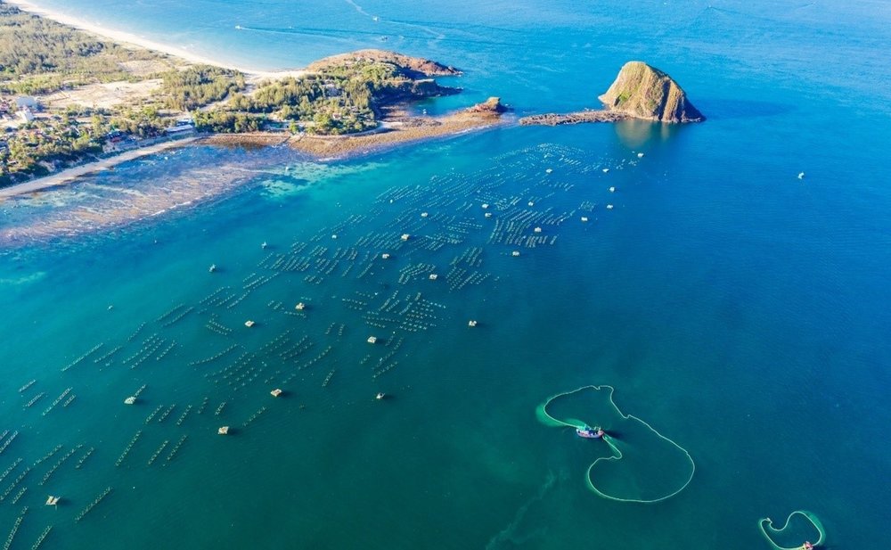 kinh-nghiem-di-phu-yen-tu-tuc