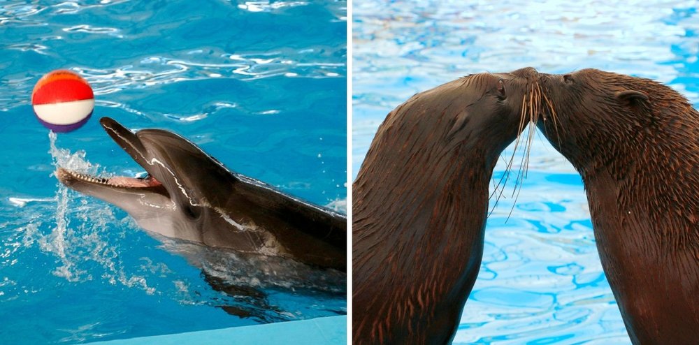 แผนเที่ยวภูเก็ต