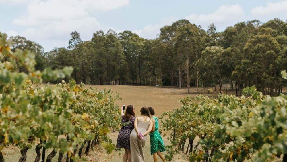 Choose from Hunter Valley’s vast collection of wineries