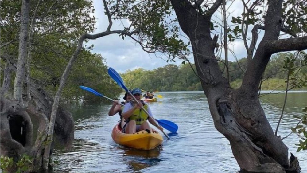 Cruise along Brunswick River and let nature take you in. Credits: @goseakayakbyronbay