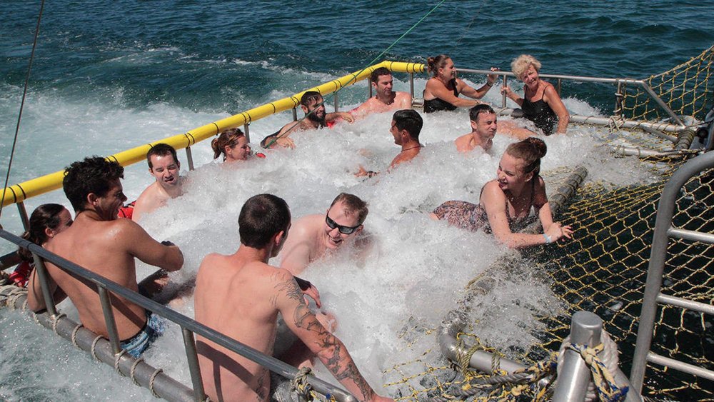 Enjoy a fun-filled day in the sun as you cruise along Jervis Bay