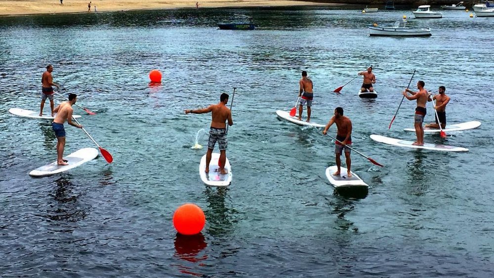 Group paddleboarding in Manly. Credits: @salburt on Instagram