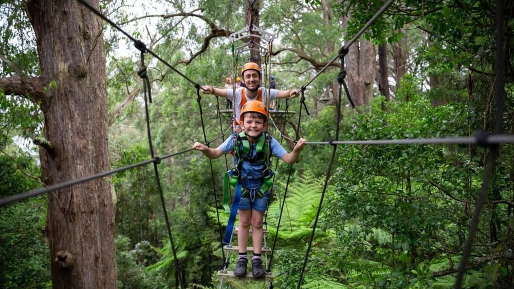 Illawarra Fly Zipline Tour