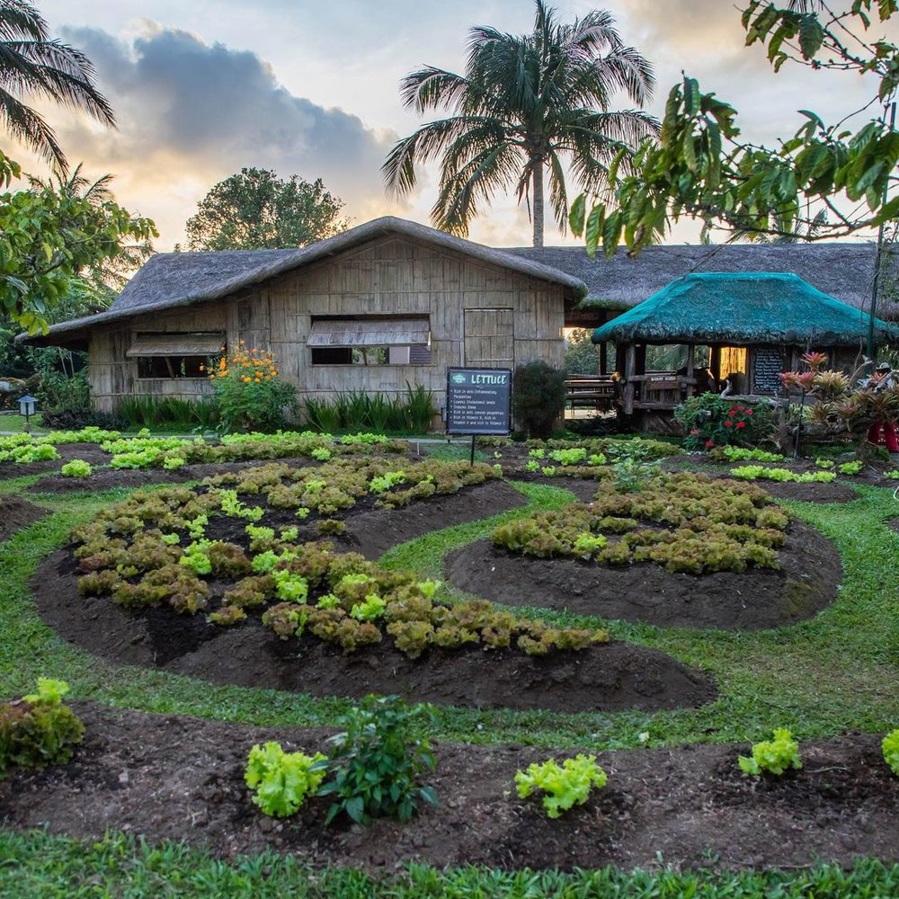 nurture wellness village