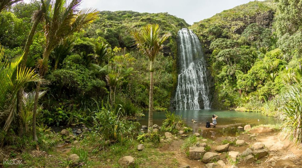 Find yourself in awe of the majestic waterfalls and lush rainforests