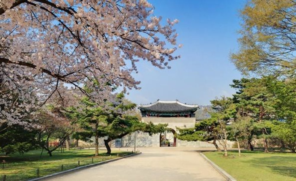 discover seoul pass 3