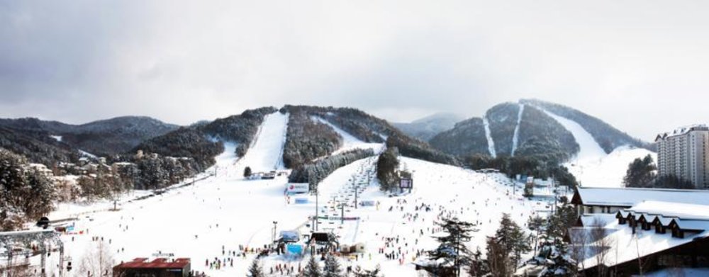 best ski resorts korea yong pyong