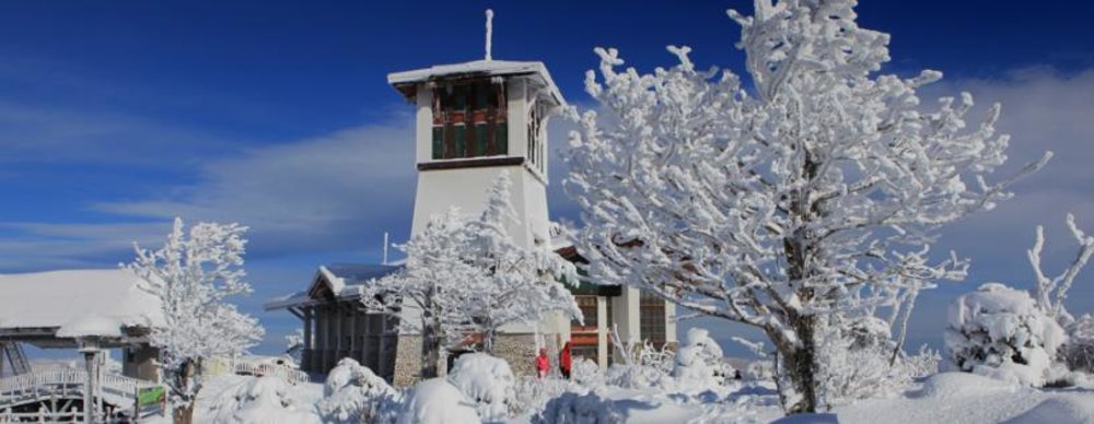 best ski resorts korea yong pyong 2