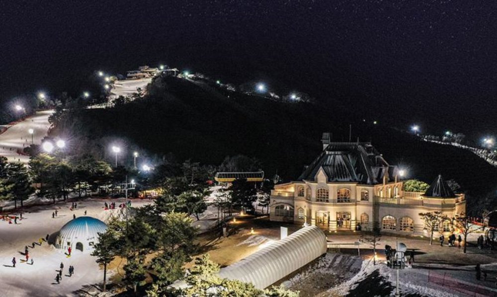 best sky resorts Daemyung Vivaldi Park Ski Resort 2