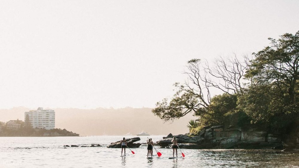A scenic view when paddleboarding at Manly