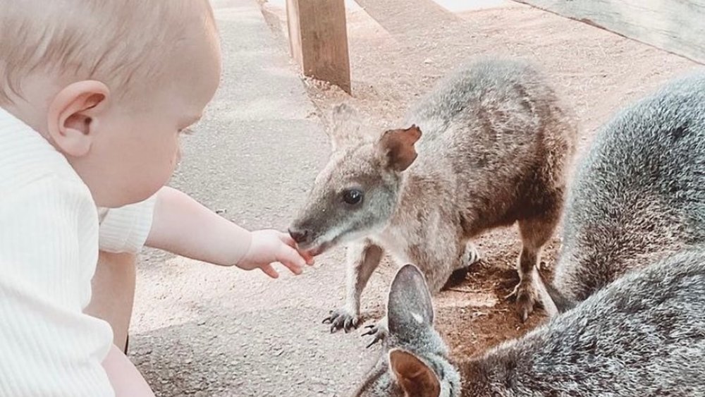 A baby and wallaby bonding at Featherdale Sydney Wildlife Park. Credits: @featherdalewildlifepark on Instagram