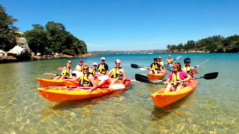 A merry group kayaking in the crystal clear waters of Manly