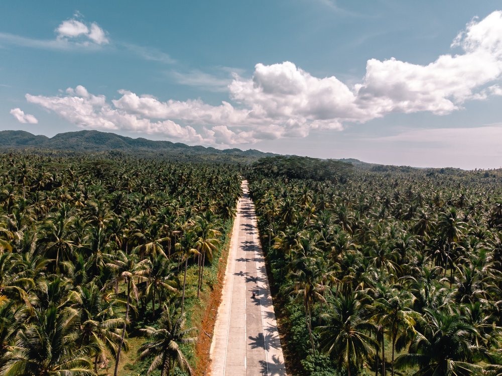 UPDATED Guide to Traveling to Siargao (2021) Requirements, Safety