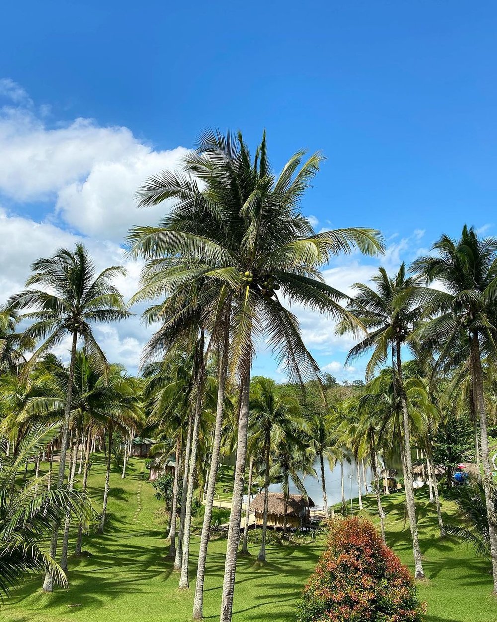 Caliraya Ecoville Recreation and Farm Resort