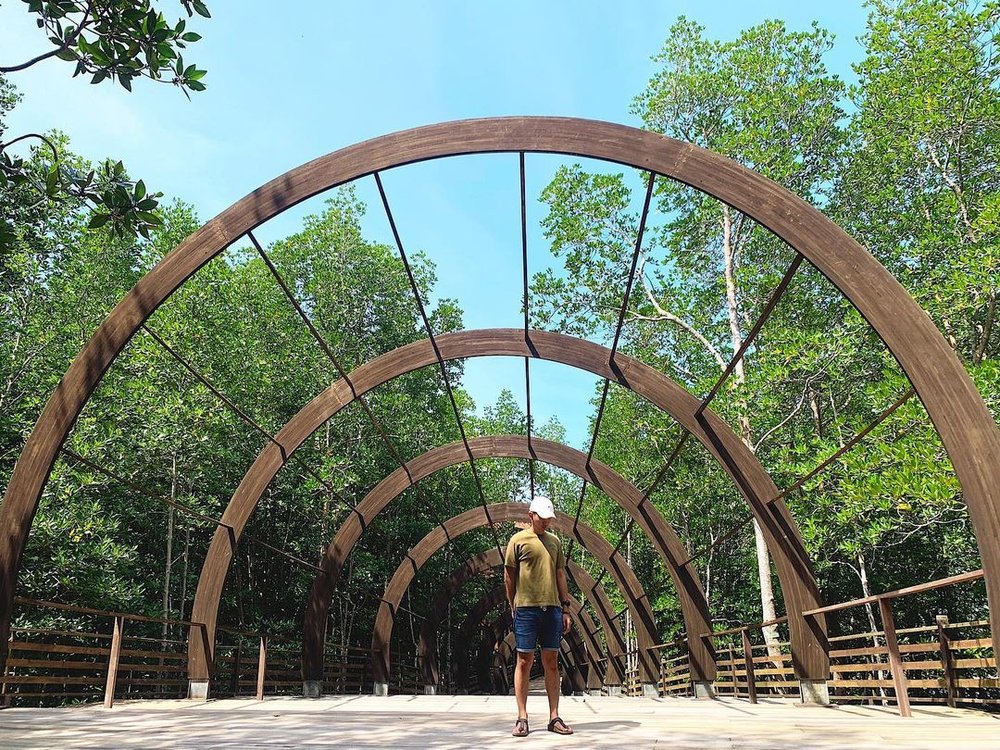 Pulau Kukup Johor National Park