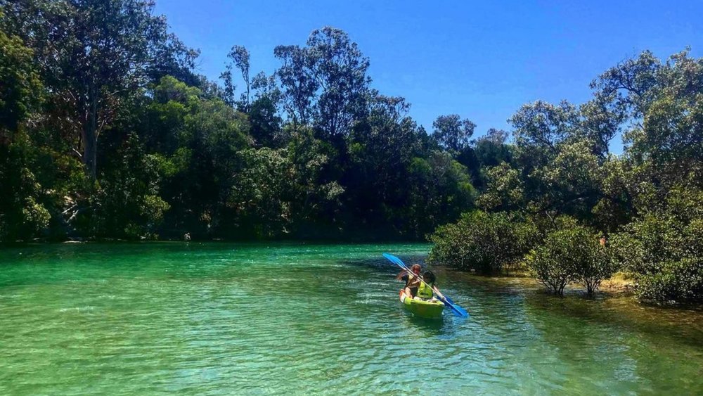 Enjoy a fun-filled kayak adventure Brunswick River! Credits: @goseakayakbyronbay
