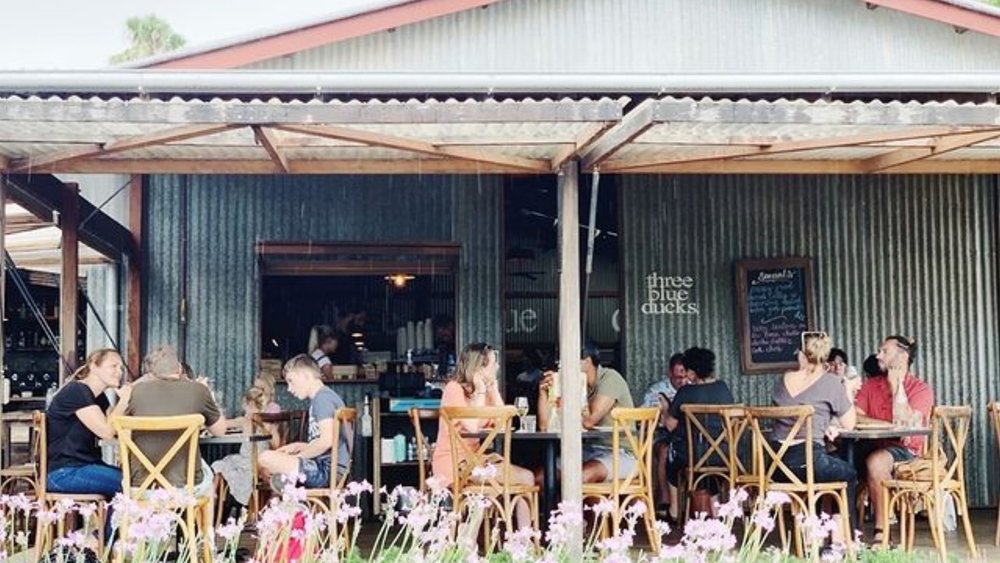 Have your fill of healthy food at The Farm Byron Bay Credits @thefarmatbyronbay