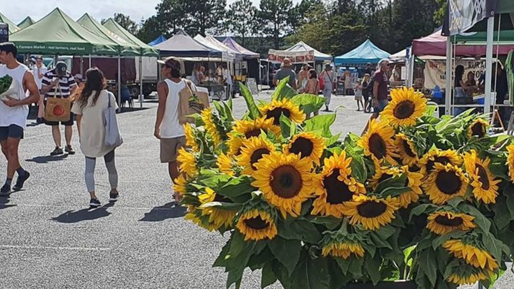Shop for your favourite produce at Byron’s farmer’s market! Credits: @byronfarmers