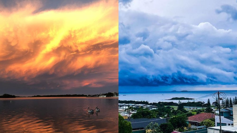 Enjoy the beauty of nearby towns: Yamba and Coffs Harbour. Credits: @thisglowingworld / @sallyannphotography_