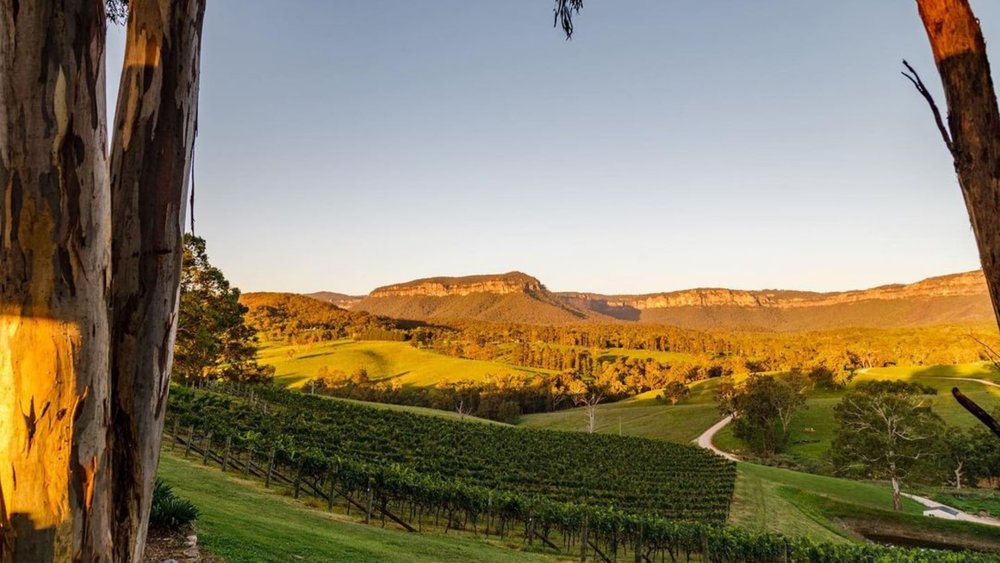 Tour along the magical Megalong Valley! Credits: @dryridgeestate