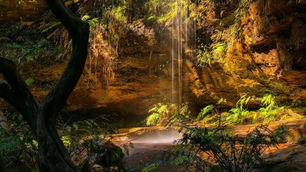 Beautiful spots await you in this mountain trail along Grand Canyon! Credits: @hellokaiphotography
