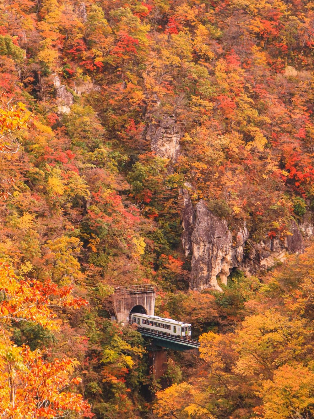 tohoku autumn Naruko-kyo Gorge Autumn Foliage