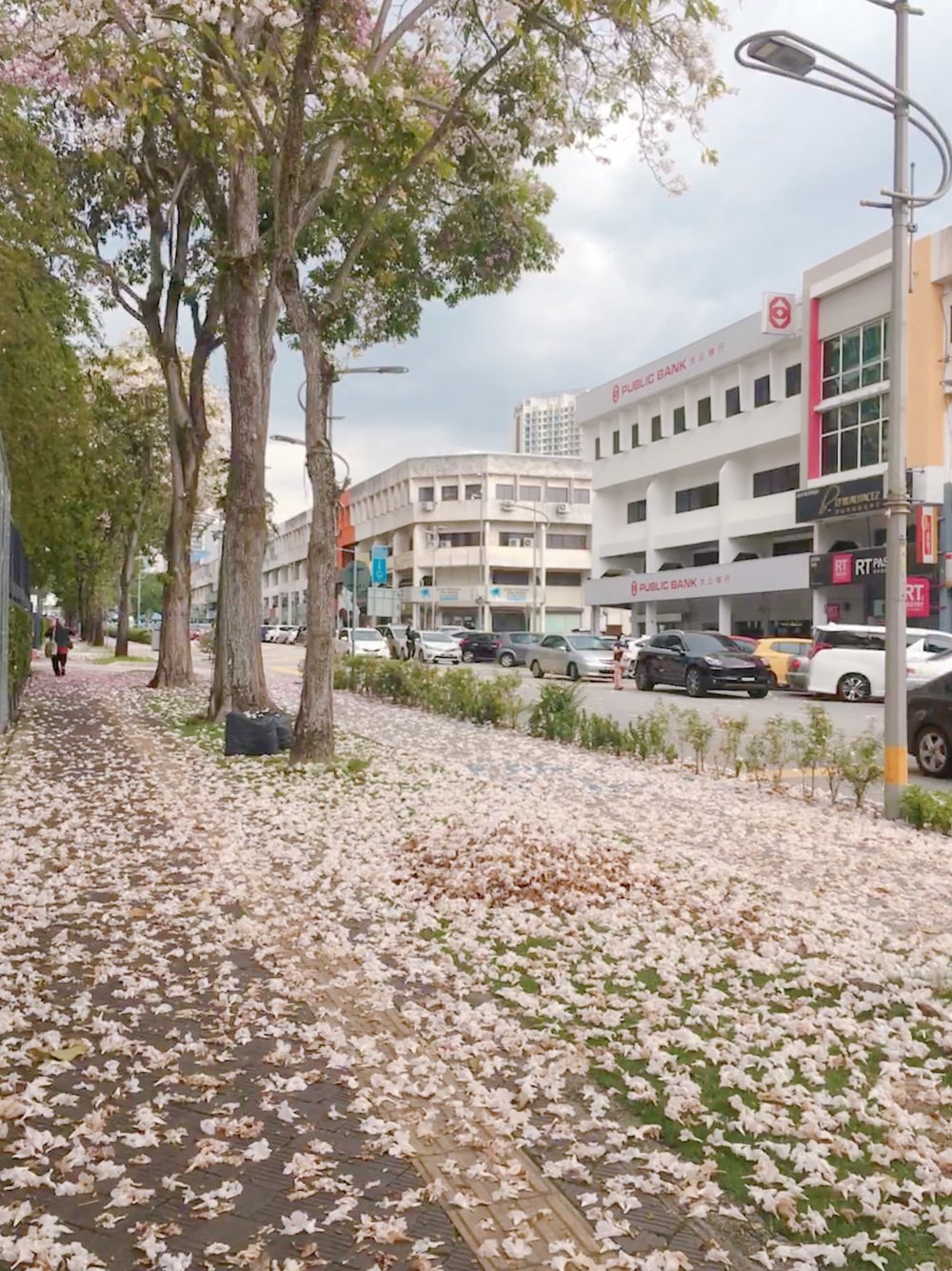 sakura malaysia kl damansara uptown