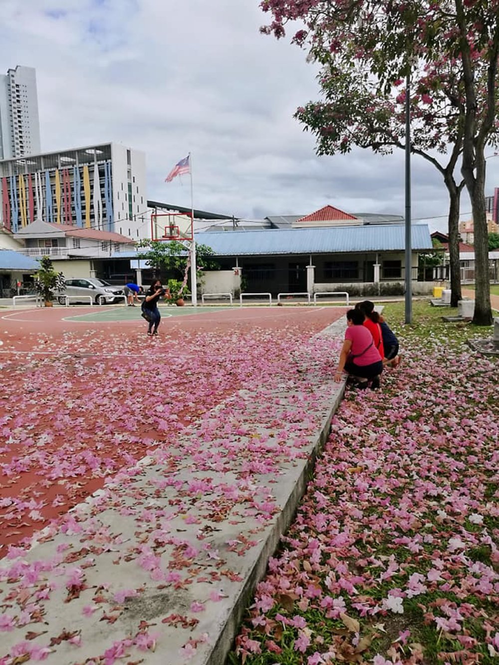 sakura malaysia air panas kl