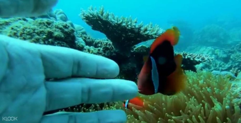 lich-trinh-con-dao-4-ngay-3-dem