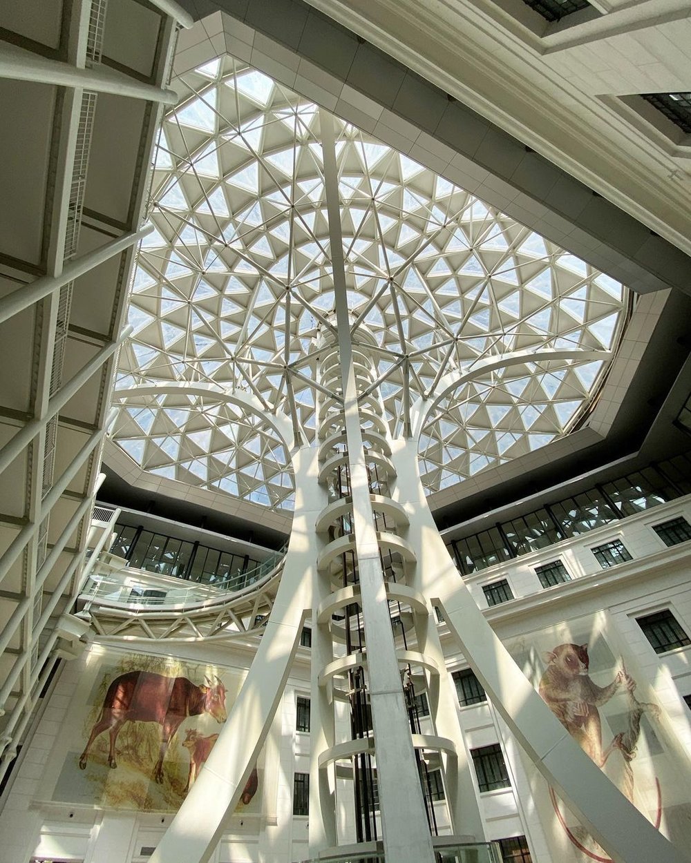 national museum of history