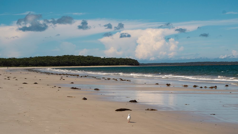 A lovely beach at Central Coast NSW. Credit: Bethany Stephens on Unsplash