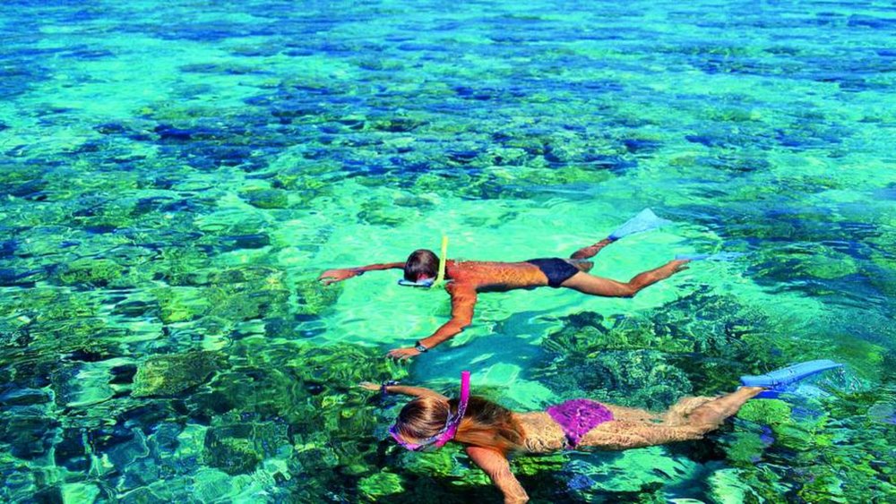 Get your daily dose of vitamin sea at Green Island!