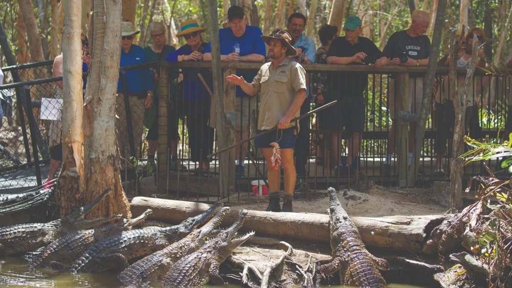 Discover more about crocodiles at Hartley’s Crocodile Adventures Park!