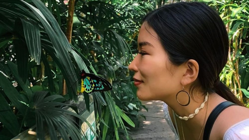 Befriend butterflies as you tour around the Australian Butterfly Sanctuary! Credit: @australianbutterflysanctuary